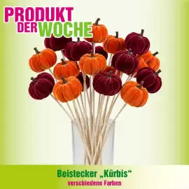 Blumen B&B Flugblatt woche 38 Seite 8