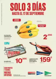 Catálogo El Corte Inglés Página 1: Plátano de Canarias IGP €2,25, Jamón de cebo ibérico 50% raza ibérica €159,00