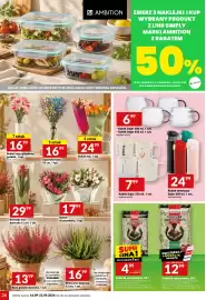 Twój Market gazetka tydzień 38 Strona 26: Podłoże uniwersalne €4,99, Podłoże uniwersalne €12,99