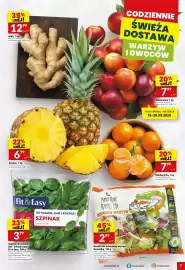 Twój Market gazetka tydzień 38 Strona 7: Naturalnie Rześki Mix Mieszanka Warzyw €2,99, Szpinak Fit & Easy €3,99