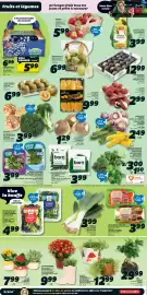 IGA flyer week 38 Page 3