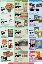 Bi-Mart weekly ad Page 7: Engineered Floors €24,99, Payback 50 lb Poultry Scratch €15,99