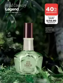 Catálogo Avon Página 100