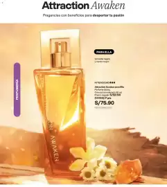 Catálogo Avon Página 65