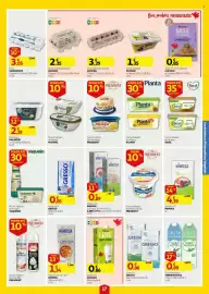 Folheto Auchan semana 38 Página 17: Planta, Numa Seleção de Chantilly President