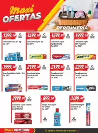 Catálogo Supermercados Comodin semana 38 Página 16