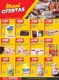 Catálogo Supermercados Comodin semana 38 Página 7: Paty - hamburguesa clasica x 60 un cod. 49430 €68.500,00