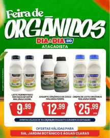 Tabloide Atacadão Dia a Dia semana 38 Página 3