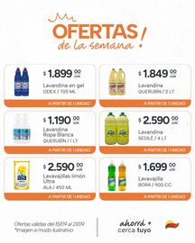 Catálogo El Milagro Mayorista semana 38 Página 20: Sedile lavandina €2.590,00, Odex lavandina en gel €1.899,00