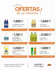 Catálogo El Milagro Mayorista semana 38 Página 20: Sedile lavandina €2.590,00, Odex lavandina en gel €1.899,00