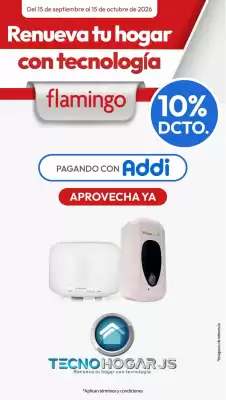 Flamingo (válido hasta 15-10)