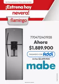 Catálogo Flamingo Página 1