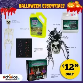 Choice The Discount Store catalogue Page 13
