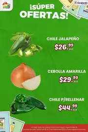 Folleto Guajardo Página 22