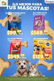 Folleto Guajardo Página 5: Purina Campeón €549,99, Purina Cat Chow €99,99