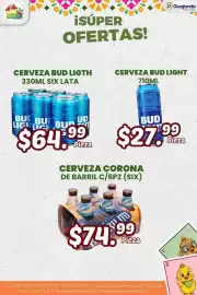 Folleto Guajardo Página 8
