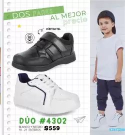 Catálogo Cklass Página 51