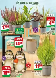 Dino gazetka tydzień 38 Strona 57: Roślina zielona €4,99, Wrzos trzykolorowy €17,99