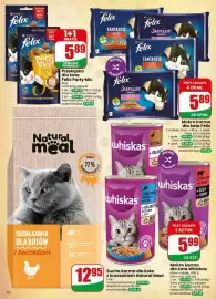 Dino gazetka tydzień 38 Strona 72: Sucha karma dla kota z kurczakiem Natural Meal €12,95