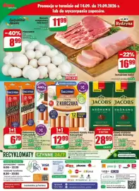 Dino gazetka tydzień 38 Strona 81: Kabanosy Exclusive wieprzowe Tarczyński €6,79, Pieczarki €8,99