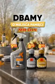 MR. DIY gazetka Strona 8: Lakier dekoracyjny Złotol Dragon €8,90, Płyn do czyszczenia nagrobków Tecmaxx €9,90