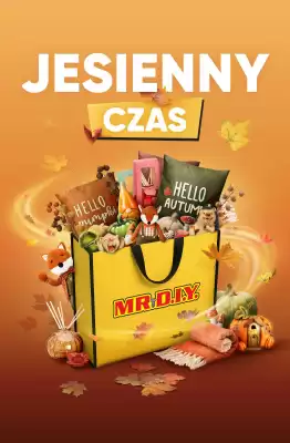 MR. DIY (ważność do 31-10)