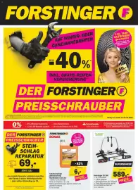 Forstinger Flugblatt Seite 1