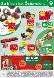 Spar Flugblatt woche 38 Seite 16