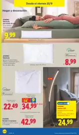 Catálogo Lidl semana 39 Página 16: Livarno edredón cálido €11,99, Livarono lampara led €24,99