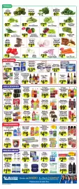 Sellers Bros weekly ad week 38 Page 4: La Michoacana aluminum foil €4,49, Purina One Can Dog Food €2,19