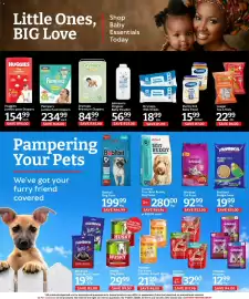 Oxford Freshmarket catalogue week 38 Page 13: Whiskas Cat Food €92,99, Laager Tea 4 Kids €22,99