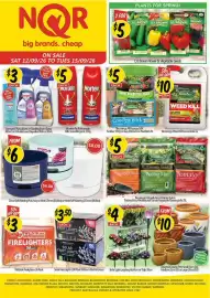 NQR catalogue week 38 Page 2: Decor Self Watering Pots Navy or Mint €6,00, Homemaster Solar Fairy Lights €3,50