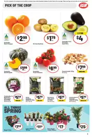 IGA catalogue week 38 Page 20: Community Co Beetroot & Fetta Salad Bowl €5,50, Green Goddess Salad Kit €5,50