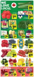 Food Basics flyer week 38 Page 6: Acorn, Butternut, Butternut Or Spaghetti Squash €1,49, 12" garden mums €15,98