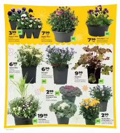 Thrifty Foods flyer week 38 Page 15