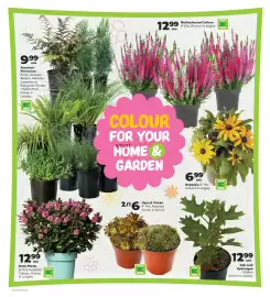 Thrifty Foods flyer week 38 Page 16