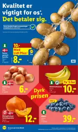 Lidl tilbudsavis uge 39 Side 6: Hokkaidogræskar €12,00, Blåbær €39,00