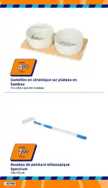 Catalogue Action semaine 38 page 8: Spectrum Rouleau de peinture télescopique €7,99