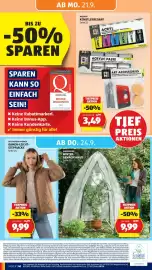 Hofer Flugblatt woche 38 Seite 46: Acrylic Paste €3,49, GARDENLINE WINTER-GEWÄCHSHAUS €9,99