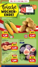 Hofer Flugblatt woche 38 Seite 8: Trauben Crunchy Dream €1,99, Nektarinen Lose Klasse I €2,29