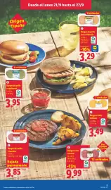 Catálogo Lidl semana 39 Página 7