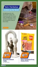 Action Prospekt woche 38 Seite 31