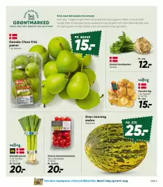Bilka tilbudsavis uge 38 Side 9: Grøn honning melon €25,00, Salling løg €15,00