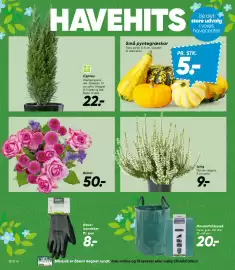 Bilka tilbudsavis uge 38 Side 8: Buket €50,00, Små pyntegræskar €5,00