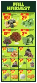 FreshCo flyer week 38 Page 5: Bagged Beets €3,99, Compliments carrots or yellow onions €2,49