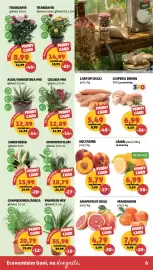 Catalog Penny săptămâna 38 Pagină 6: CARTOFI DULCI €5,49, Ciuperci brune €6,99