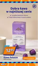 Action gazetka tydzień 38 Strona 14