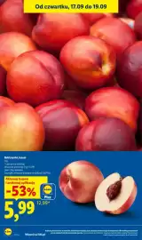 Lidl gazetka Strona 24: Nektarynki €5,99, Nektarynki, luzem €5,99