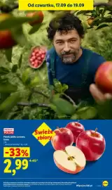 Lidl gazetka Strona 25: Jabłka czerwone polskie luzem €2,99, Polskie jabłka czerwone, luzem €2,99