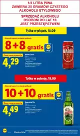 Lidl gazetka Strona 32
